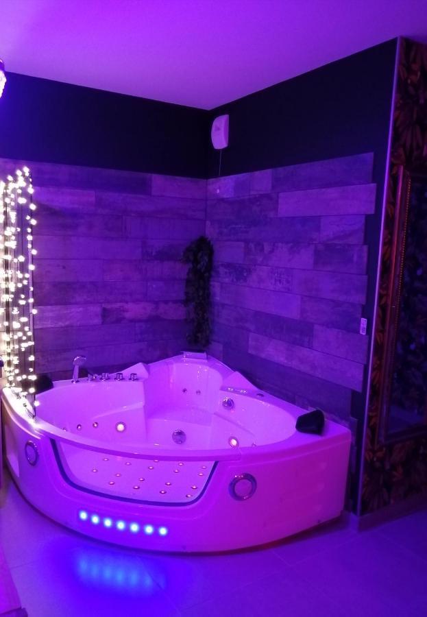 Romantisme Et Glamour 2 Avec Spa , Clim Et Jardin ديجون المظهر الخارجي الصورة