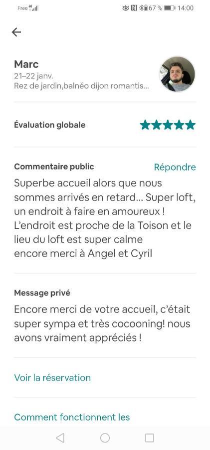 Romantisme Et Glamour 2 Avec Spa , Clim Et Jardin ديجون المظهر الخارجي الصورة