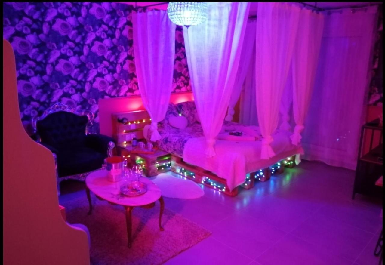 Romantisme Et Glamour 2 Avec Spa , Clim Et Jardin ديجون المظهر الخارجي الصورة