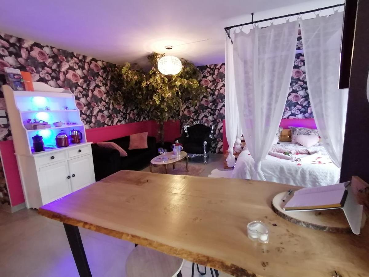 Romantisme Et Glamour 2 Avec Spa , Clim Et Jardin ديجون المظهر الخارجي الصورة