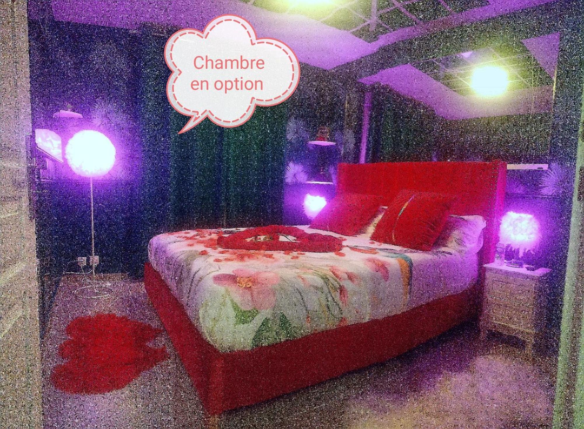 Romantisme Et Glamour 2 Avec Spa , Clim Et Jardin ديجون المظهر الخارجي الصورة