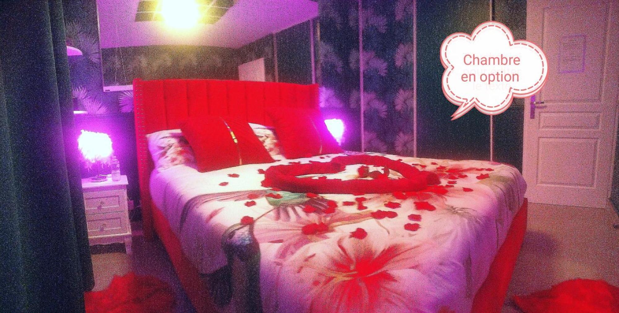 Romantisme Et Glamour 2 Avec Spa , Clim Et Jardin ديجون المظهر الخارجي الصورة