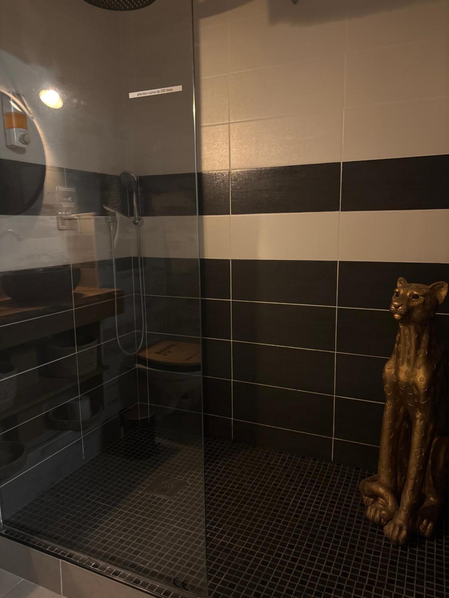 Romantisme Et Glamour 2 Avec Spa , Clim Et Jardin ديجون المظهر الخارجي الصورة